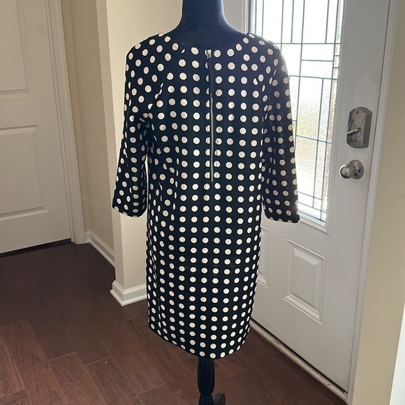 Anthropologie Lili Wang for Lili's Closet Polka Dot Casual Dress - Picture 3 of 12